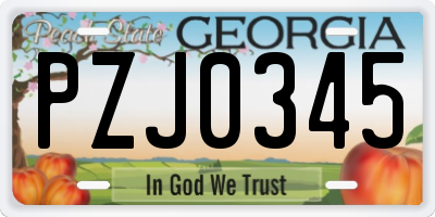 GA license plate PZJ0345