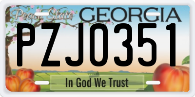 GA license plate PZJ0351