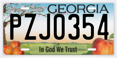 GA license plate PZJ0354