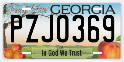 GA license plate PZJ0369