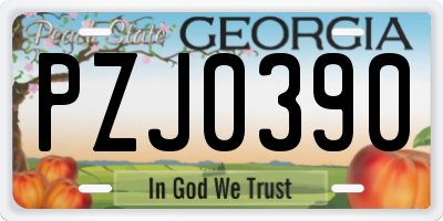 GA license plate PZJ0390