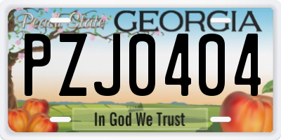 GA license plate PZJ0404