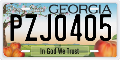 GA license plate PZJ0405