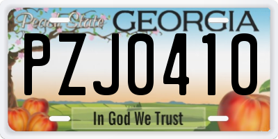 GA license plate PZJ0410