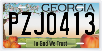 GA license plate PZJ0413