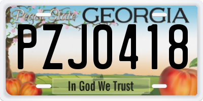 GA license plate PZJ0418