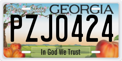 GA license plate PZJ0424