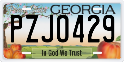GA license plate PZJ0429