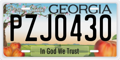 GA license plate PZJ0430