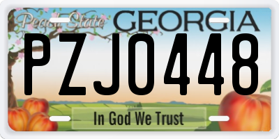 GA license plate PZJ0448