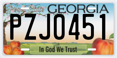 GA license plate PZJ0451