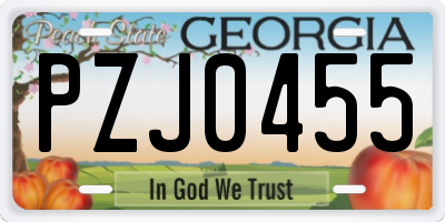 GA license plate PZJ0455