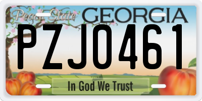 GA license plate PZJ0461