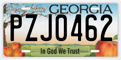 GA license plate PZJ0462
