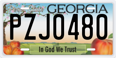 GA license plate PZJ0480