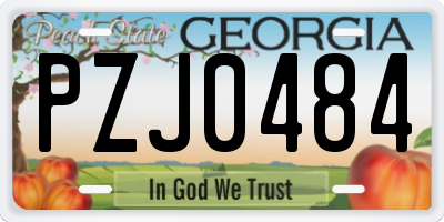 GA license plate PZJ0484
