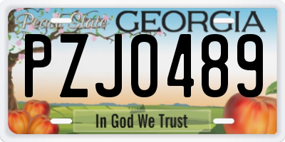 GA license plate PZJ0489