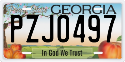 GA license plate PZJ0497