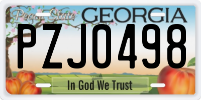 GA license plate PZJ0498