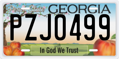 GA license plate PZJ0499