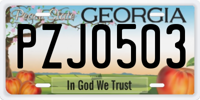 GA license plate PZJ0503