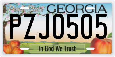 GA license plate PZJ0505