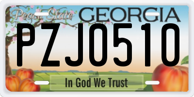 GA license plate PZJ0510