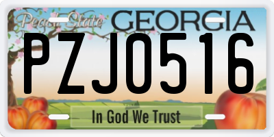 GA license plate PZJ0516