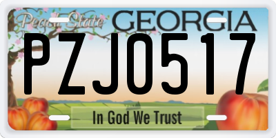 GA license plate PZJ0517