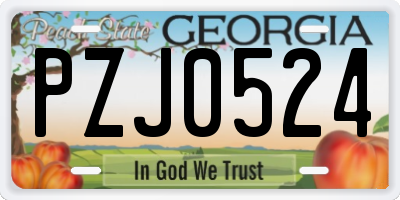 GA license plate PZJ0524