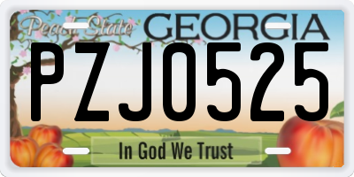 GA license plate PZJ0525