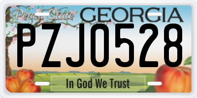 GA license plate PZJ0528