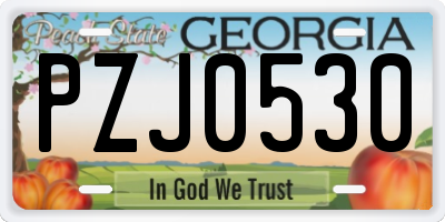 GA license plate PZJ0530