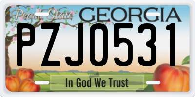 GA license plate PZJ0531