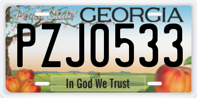 GA license plate PZJ0533