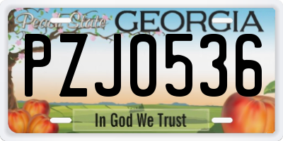 GA license plate PZJ0536