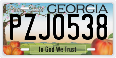 GA license plate PZJ0538