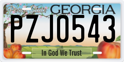 GA license plate PZJ0543