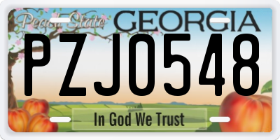 GA license plate PZJ0548