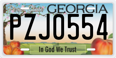 GA license plate PZJ0554