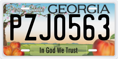 GA license plate PZJ0563