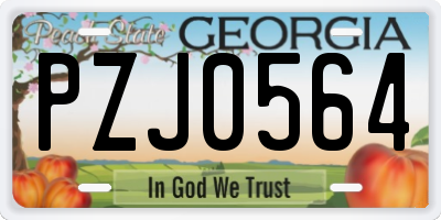 GA license plate PZJ0564