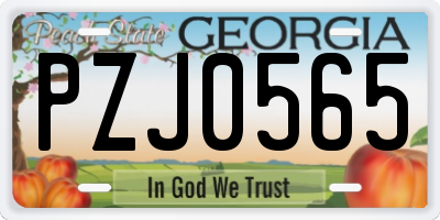GA license plate PZJ0565