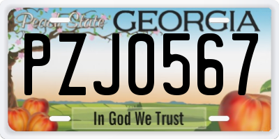 GA license plate PZJ0567