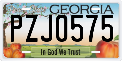 GA license plate PZJ0575
