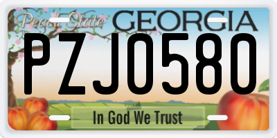 GA license plate PZJ0580
