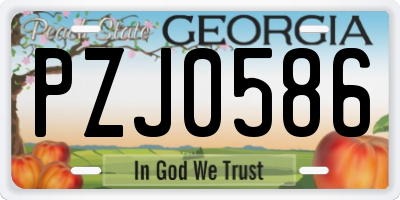 GA license plate PZJ0586