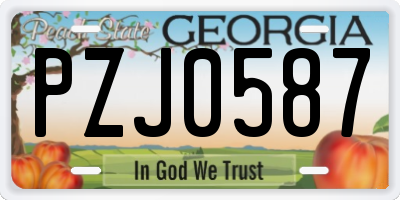 GA license plate PZJ0587