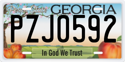 GA license plate PZJ0592