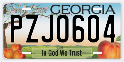 GA license plate PZJ0604